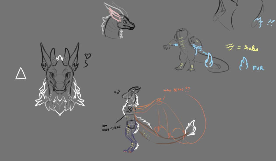 Drakas initial idea