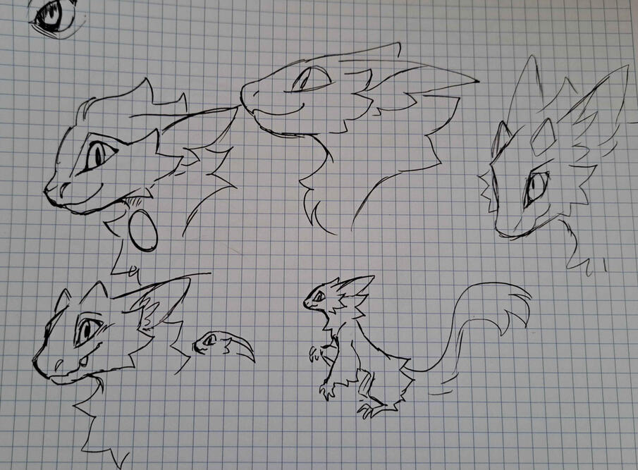 That lead to Mune goin haywire on design ideas and concepts