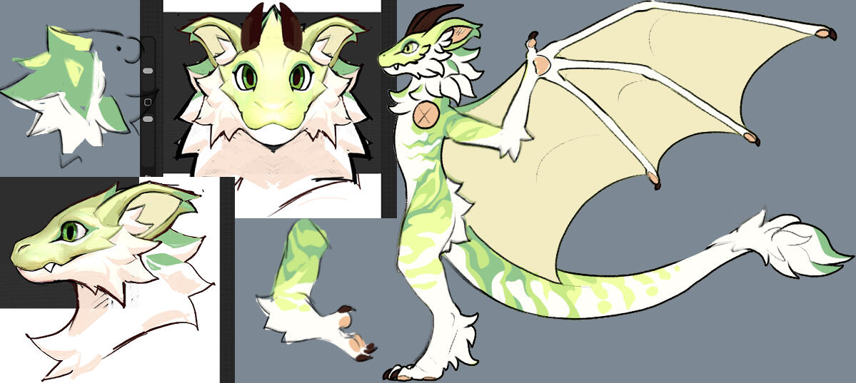 Somewhat finalized Concepts: including the further illustrated Head concepts & Colors by Mune and Fullbody art by Draka that was later tossed at Mune to kick around