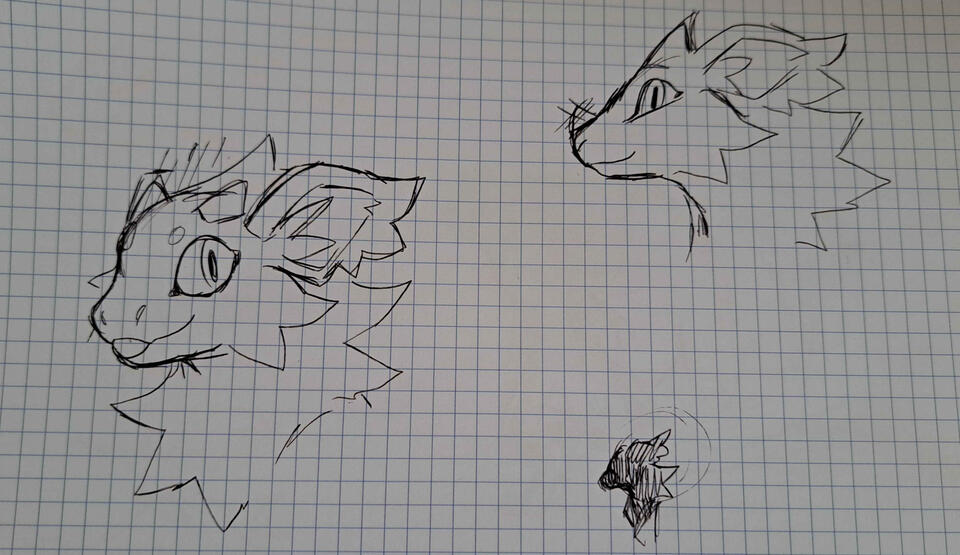 Many many concepts