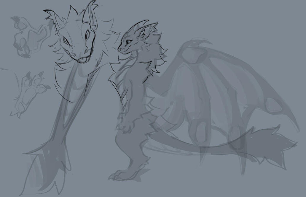 After the initil silhouette was done …